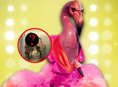 The Masked Singer Flamingo